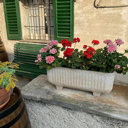 The Montevecchia Home - Frida Apartment Extérieur photo